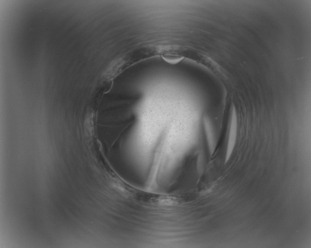 X0000054420475200508121756