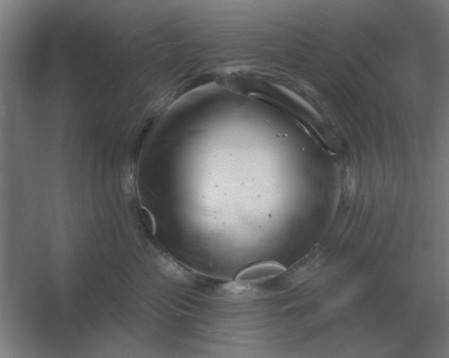 X0000054420477200508121756