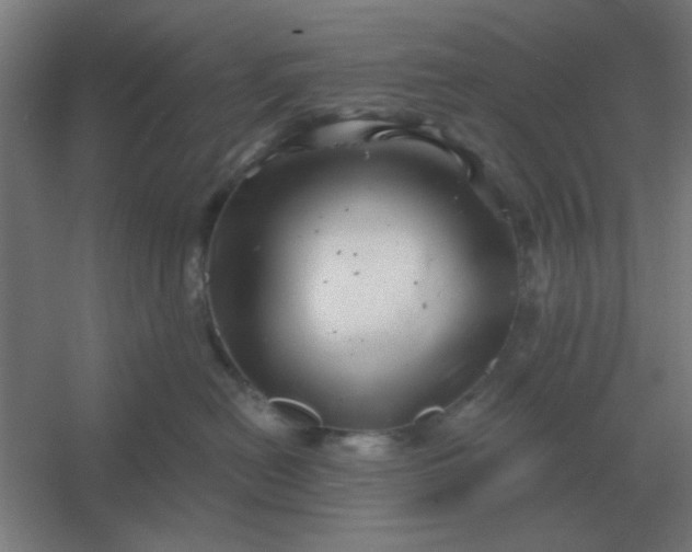 X0000054420478200508121756