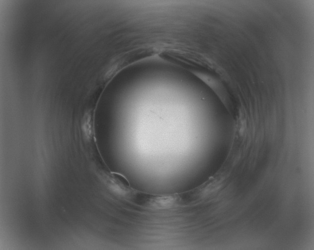 X0000054420479200508121756