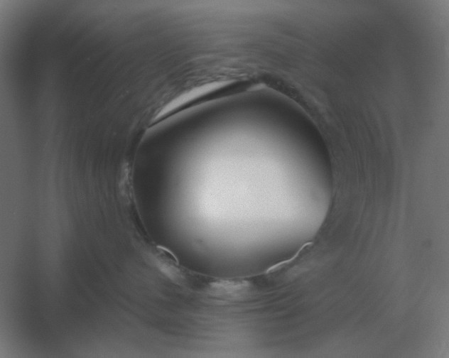 X0000054420480200508121756