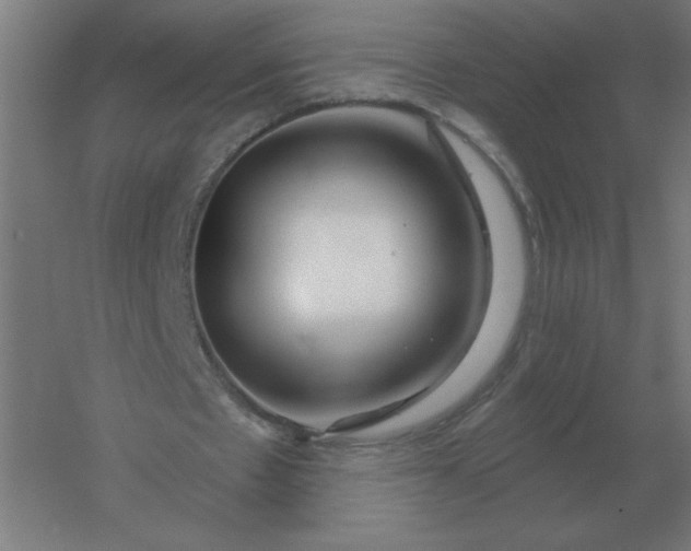 X0000054420481200508121755