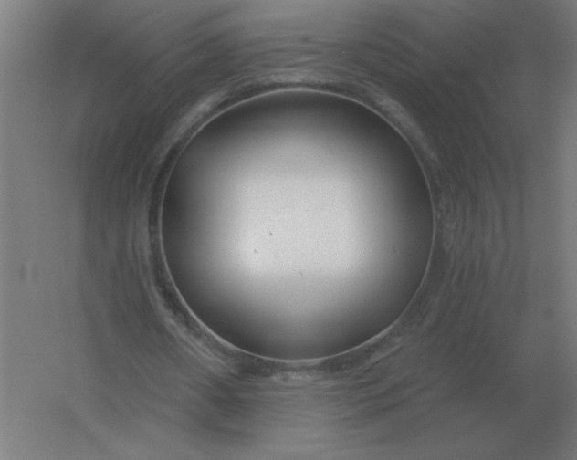 X0000054420482200508121755