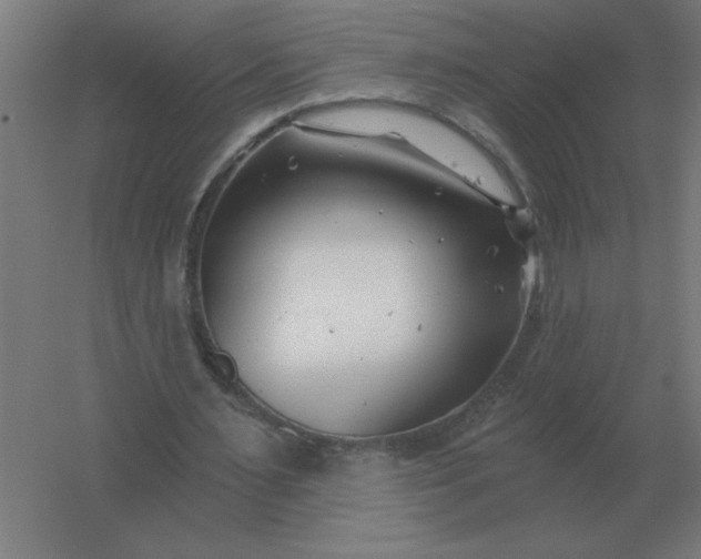 X0000054420483200508121755