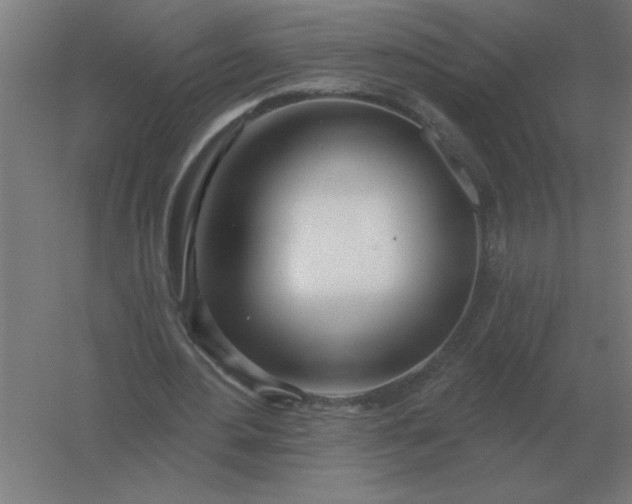 X0000054420484200508121755