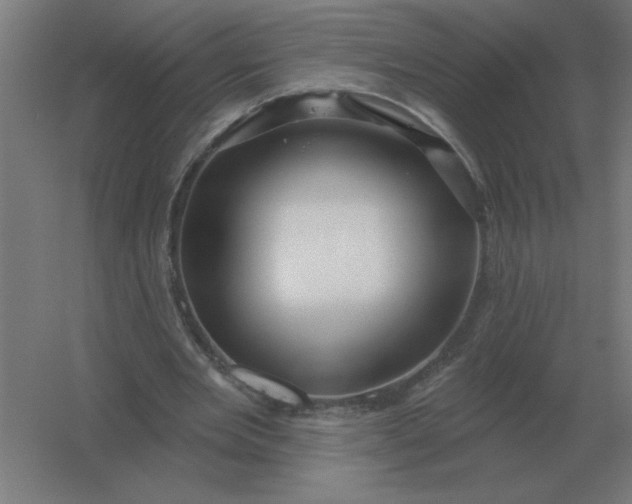 X0000054420485200508121755