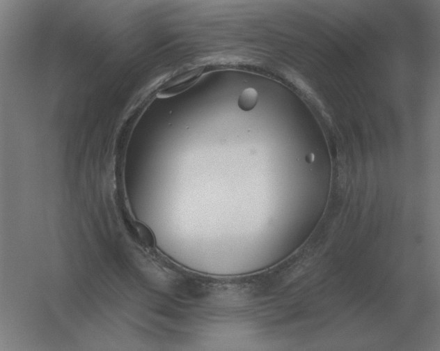 X0000054420486200508121755