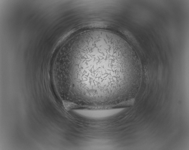 X0000054420487200508121755