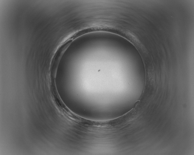 X0000054420488200508121755