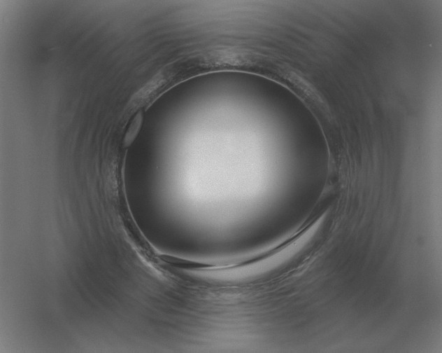 X0000054420489200508121755