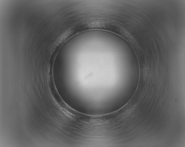 X0000054420490200508121755