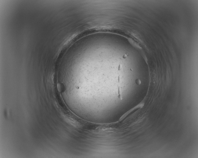 X0000054420491200508121755