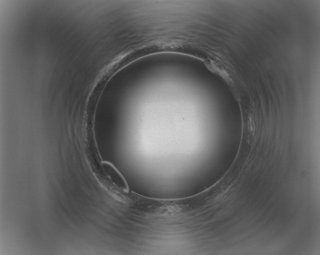 X0000054420492200508121755