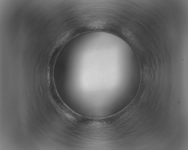 X0000054420494200508121755