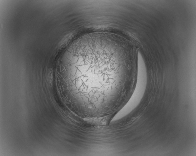 X0000054420495200508121755