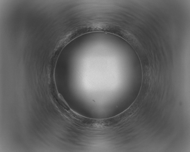 X0000054420496200508121755