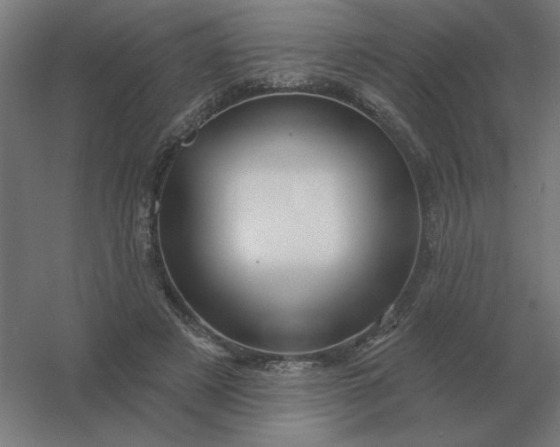 X0000054420497200508121755