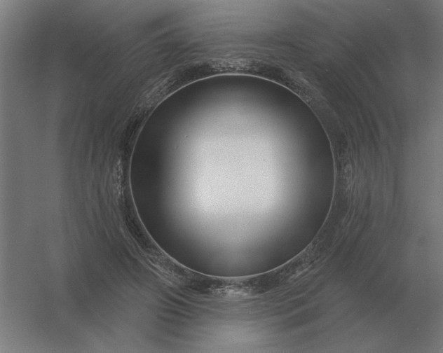 X0000054420498200508121755