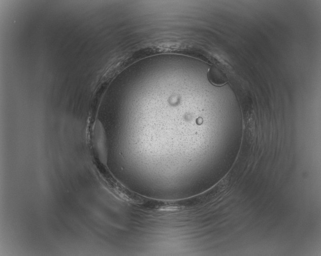 X0000054420499200508121755