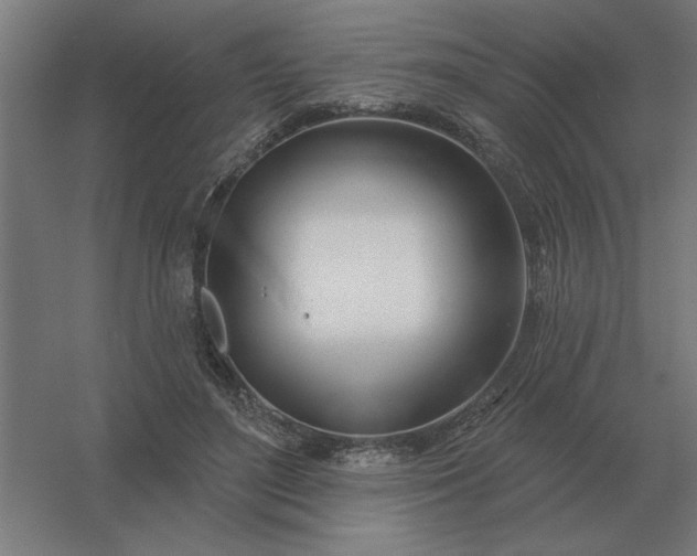 X0000054420500200508121755