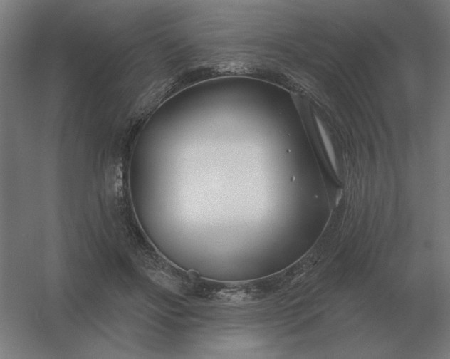 X0000054420502200508121755