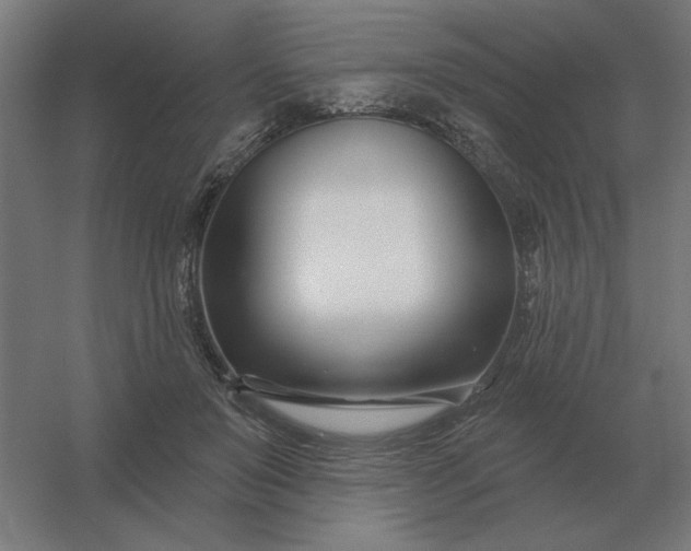 X0000054420503200508121755