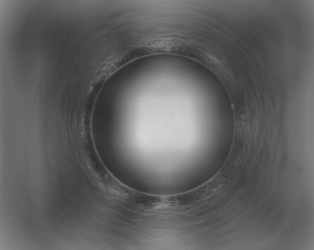 X0000054420504200508121755