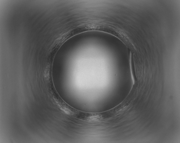 X0000054420505200508121755