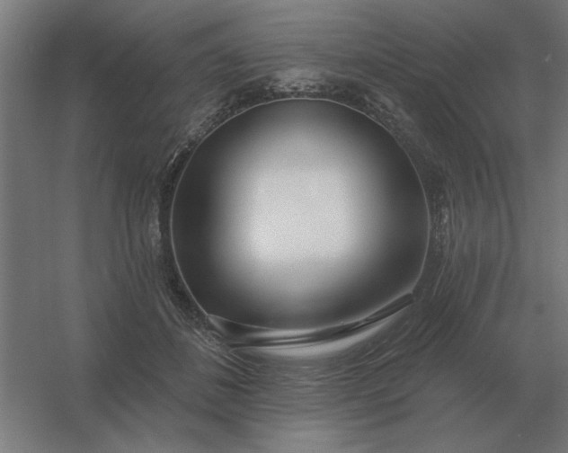 X0000054420508200508121755