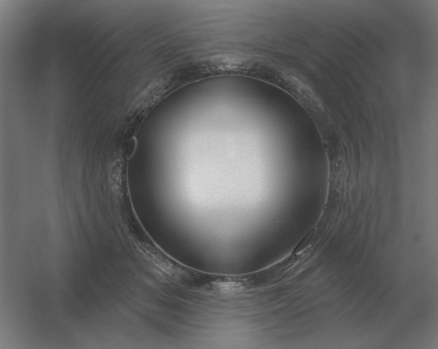 X0000054420509200508121755