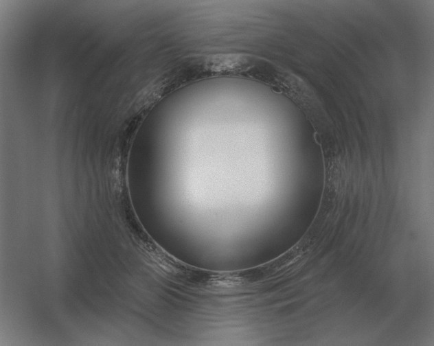 X0000054420510200508121755