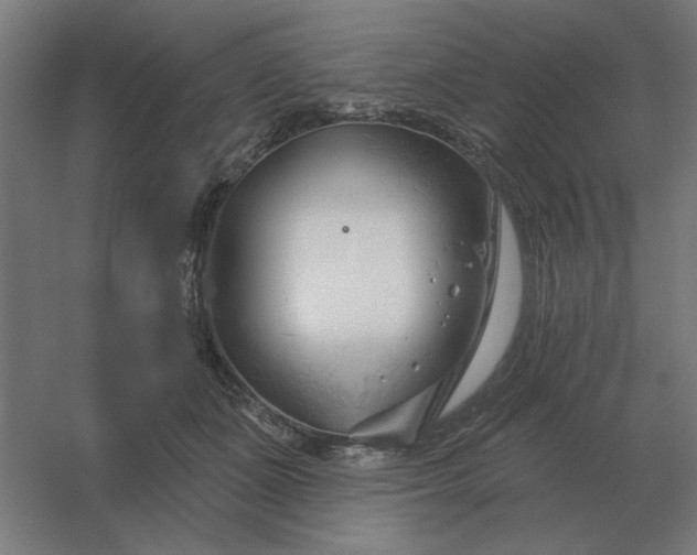 X0000054420511200508121755