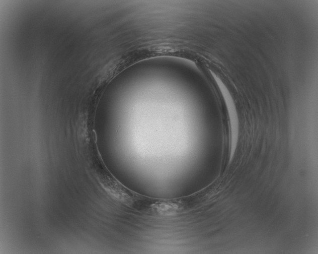 X0000054420512200508121755