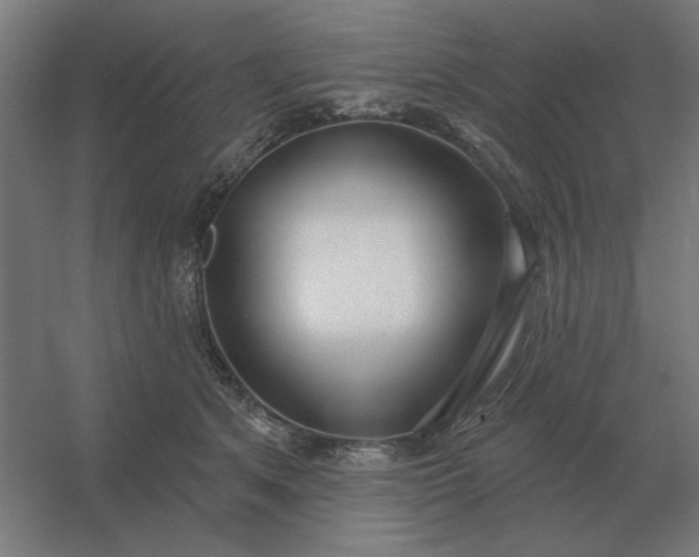 X0000054420513200508121755