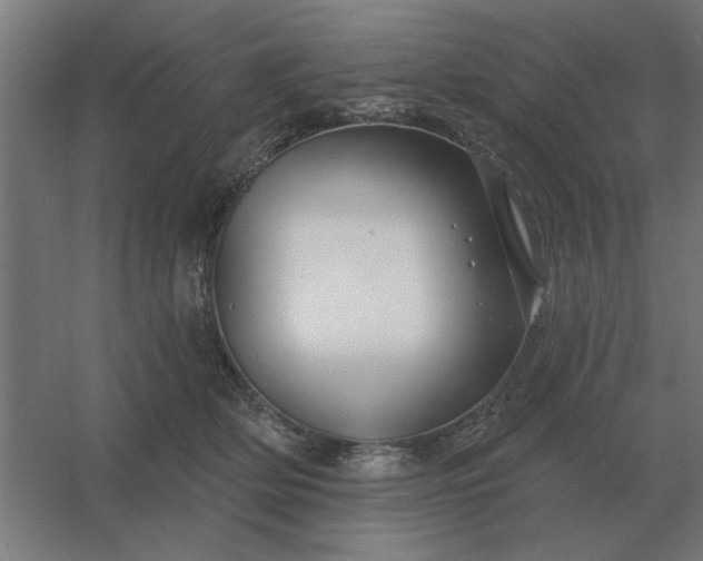 X0000054420514200508121755