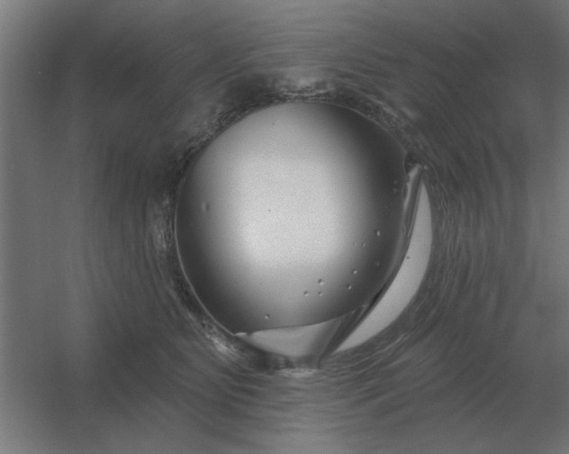 X0000054420515200508121755