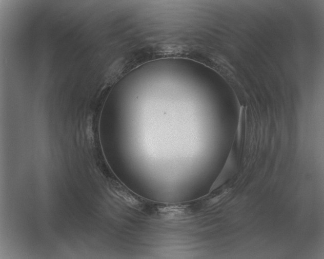 X0000054420516200508121755