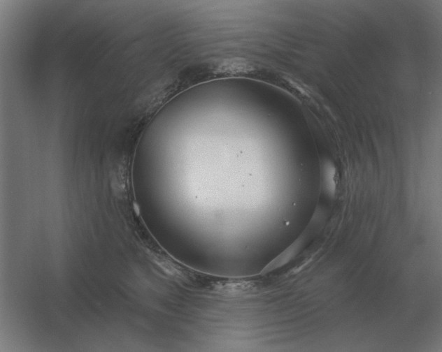 X0000054420517200508121755