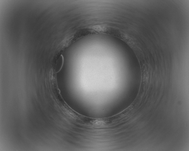 X0000054420518200508121755