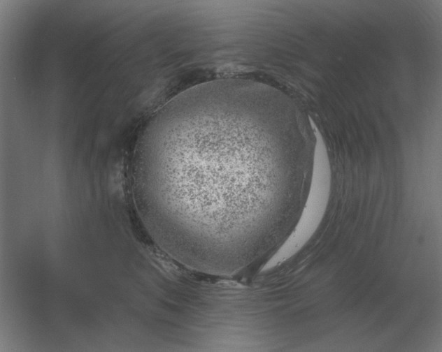 X0000054420519200508121755