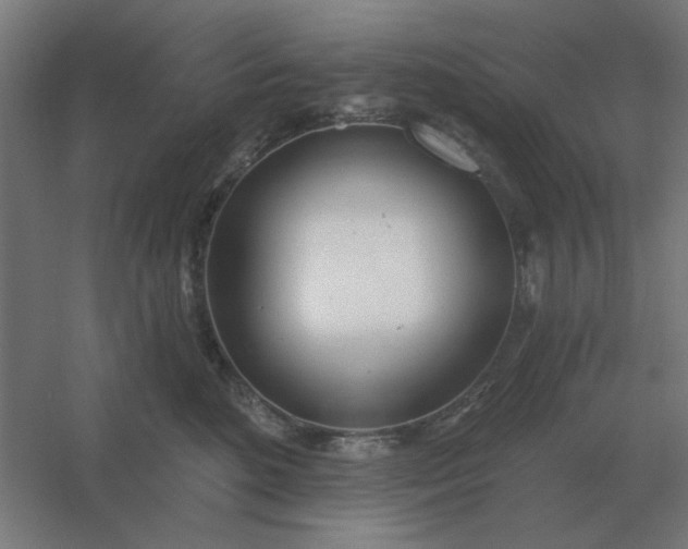 X0000054420520200508121755