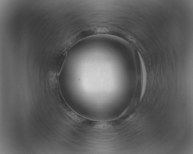 X0000054420521200508121755