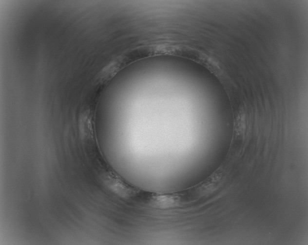 X0000054420522200508121755