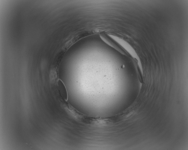 X0000054420523200508121755