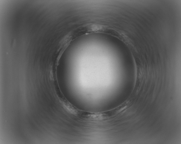 X0000054420524200508121755