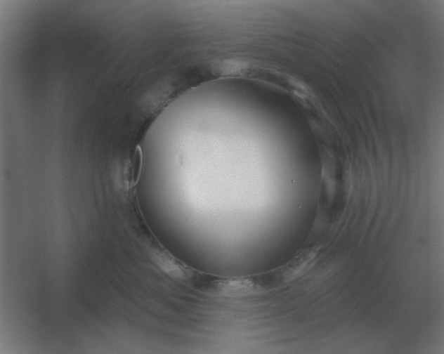 X0000054420525200508121755