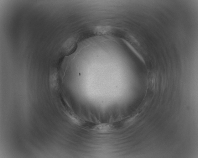 X0000054420526200508121755