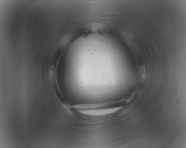 X0000054420527200508121755