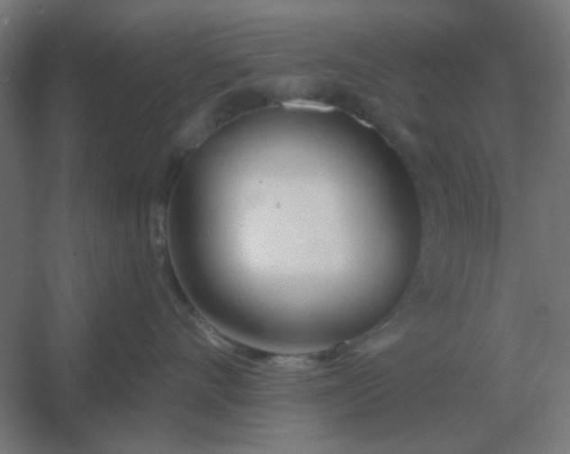 X0000054420528200508121754