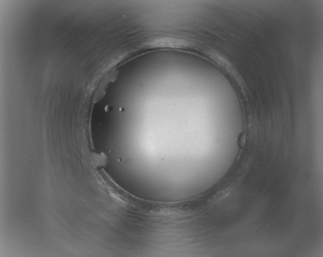 X0000054420529200508121754